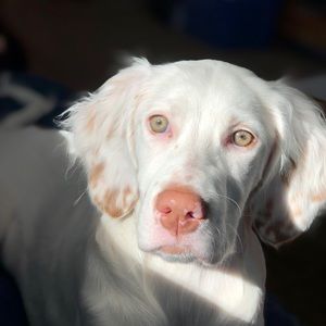 Meet your Posher, Scott